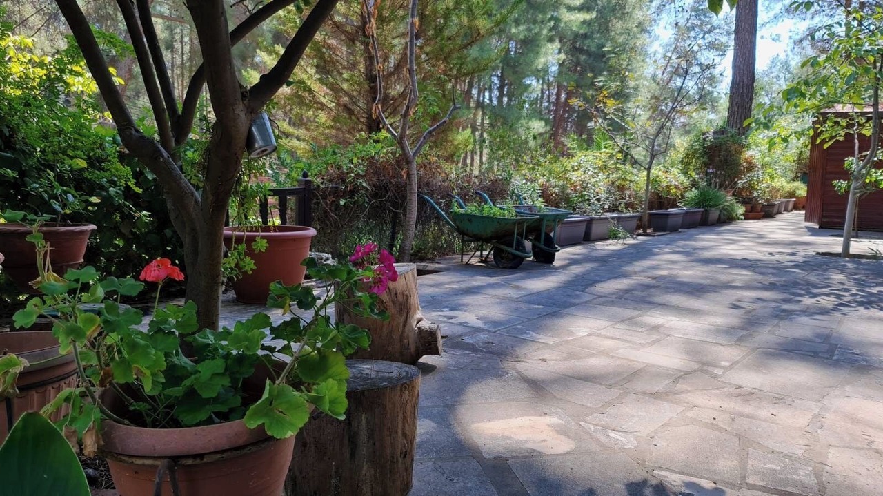 Photo of Outdoor in Saittas