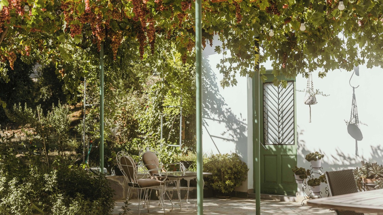 Photo of Outdoor in Politiko