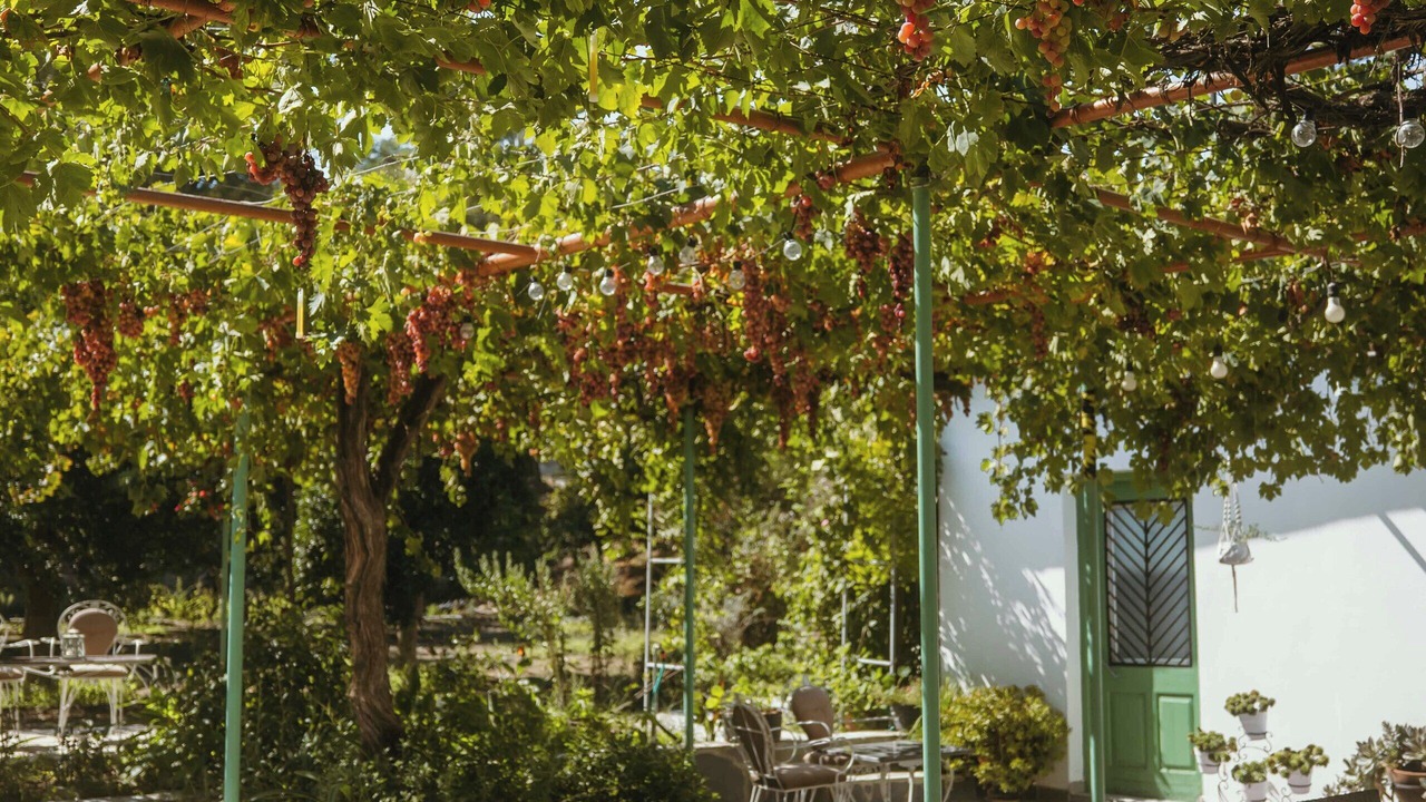 Photo of Outdoor in Politiko