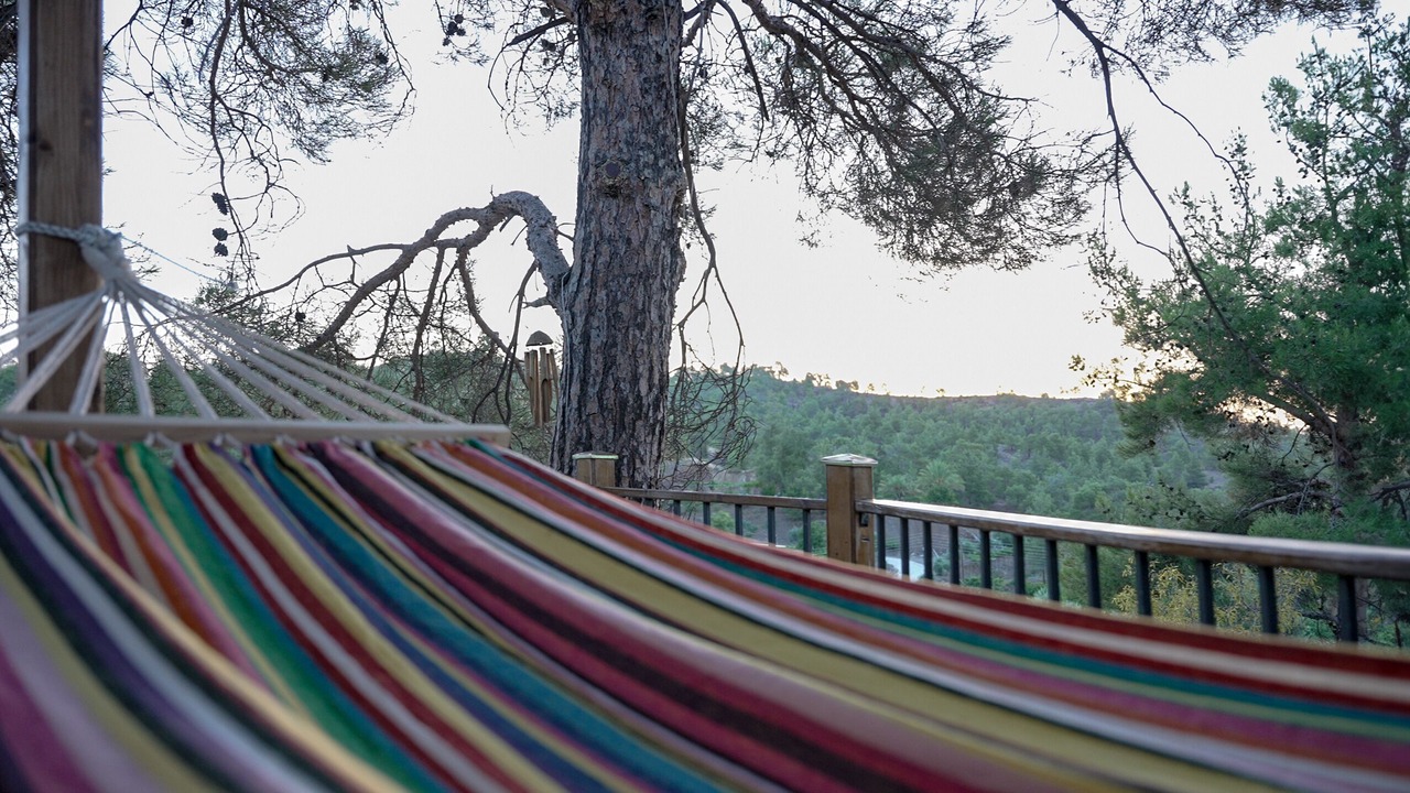 Photo of Outdoor in Politiko