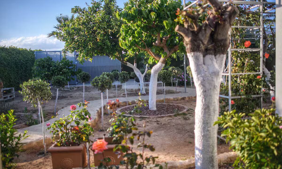 Photo of Outdoor in Agios Theodoros