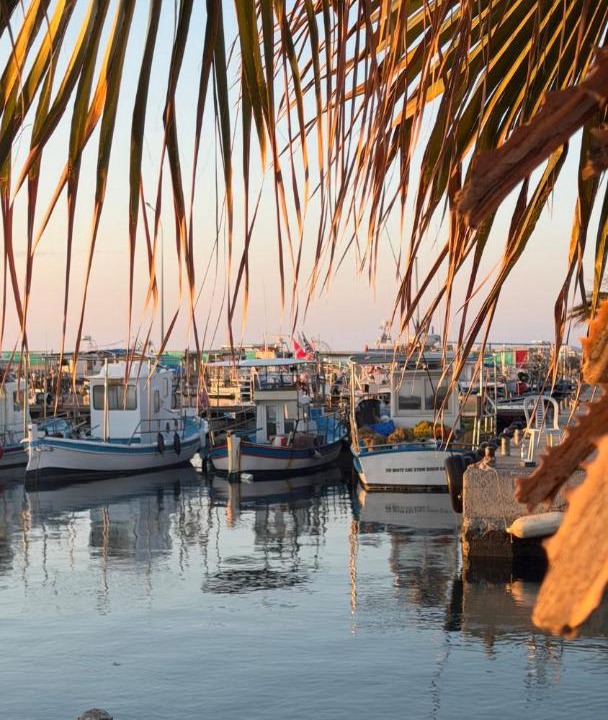 Photo of Others in Larnaca