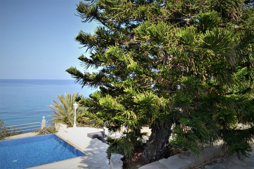 Photo of Outdoor in Pachyammos