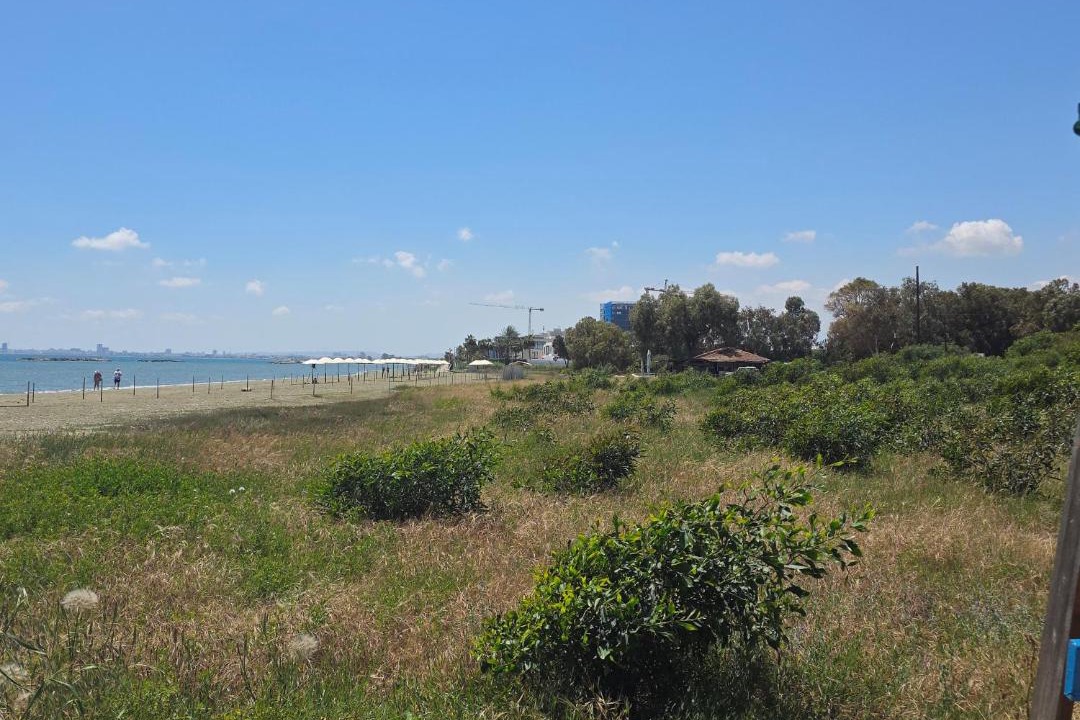 Photo of Others in Pyla