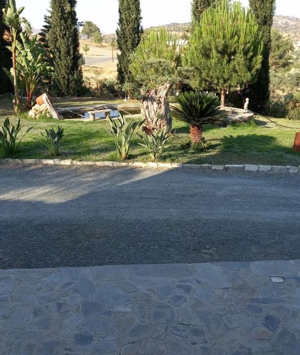 Photo of Others in Pyrga