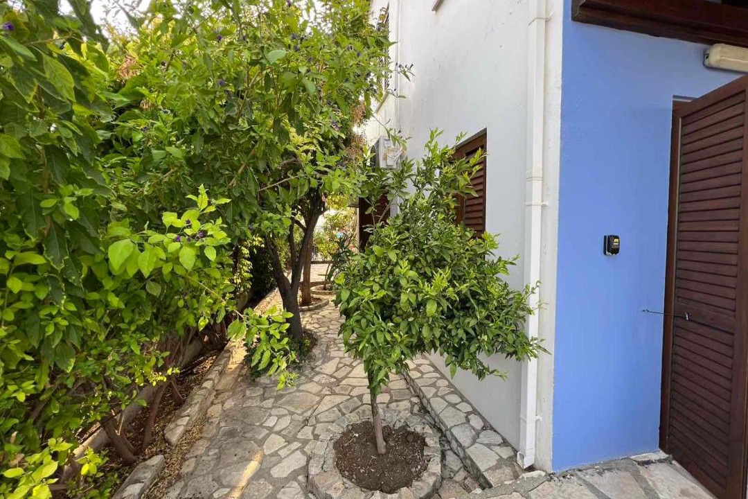 Photo of Others in Pano Lefkara
