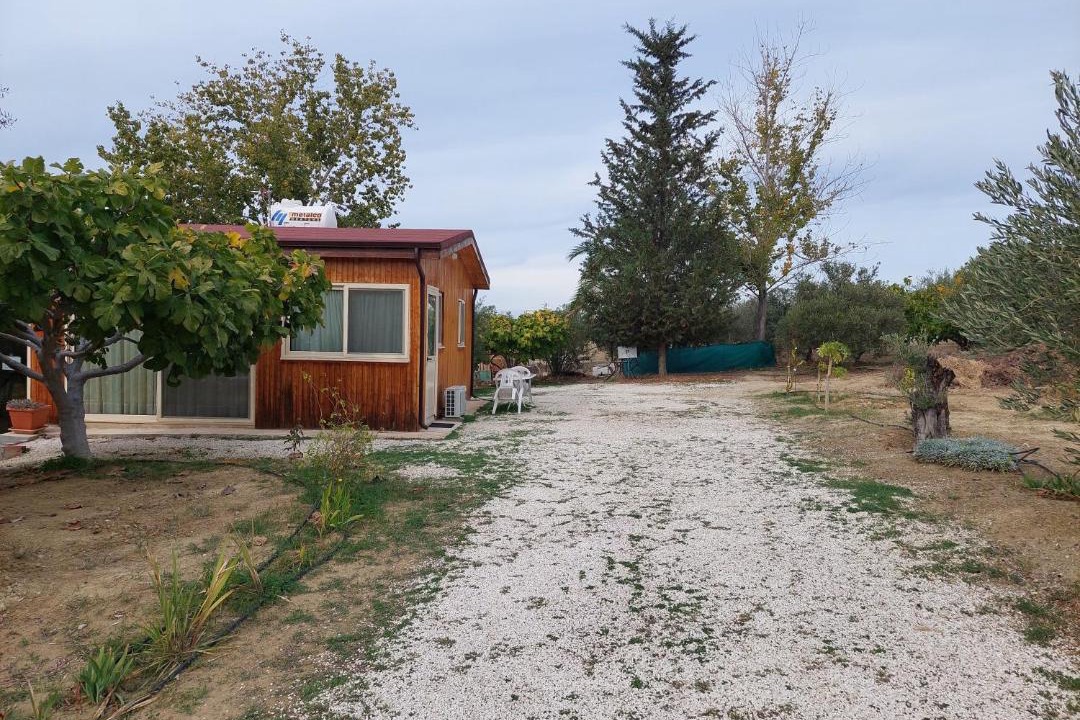 Photo of Others in Pano Arodhes