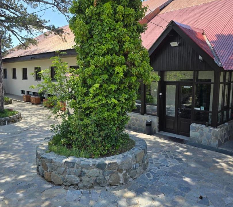 Photo of Others in Troodos