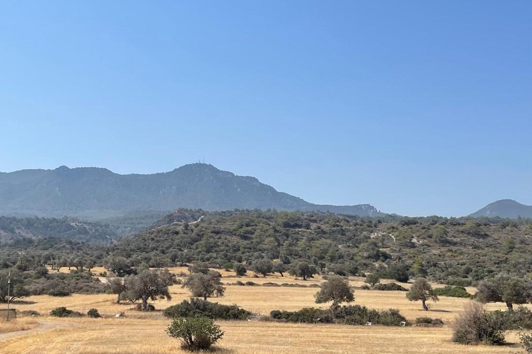 Photo of Others in Esentepe