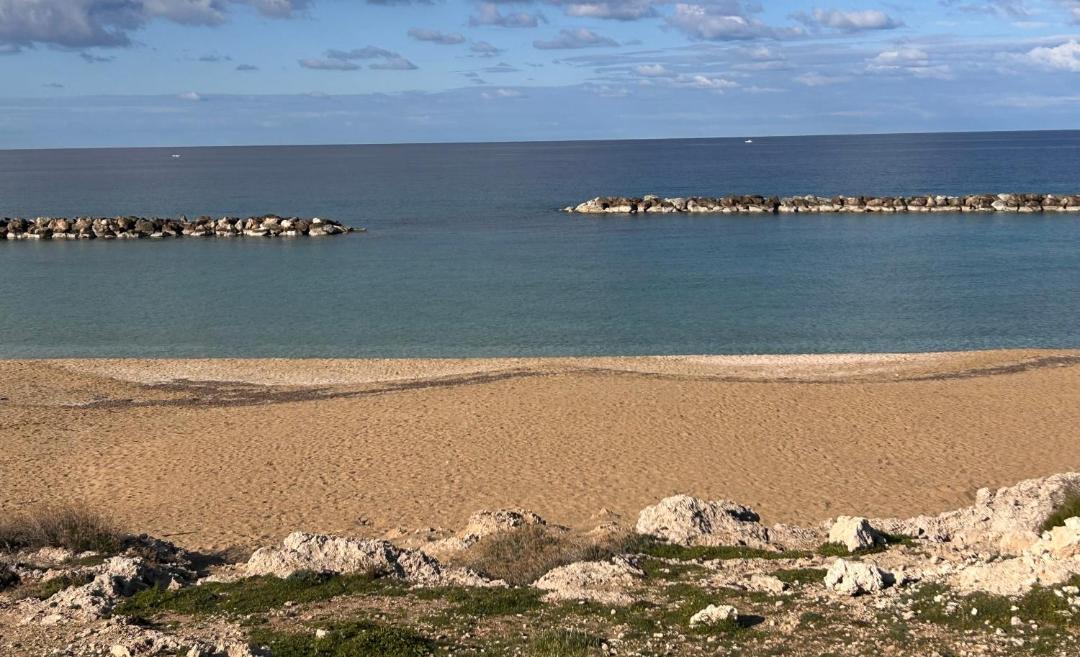 Photo of Others in Paphos