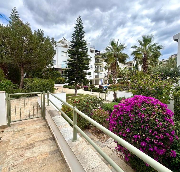 Photo of Others in Paphos
