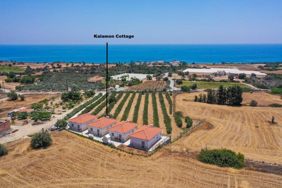Photo of Others in Agios Theodoros