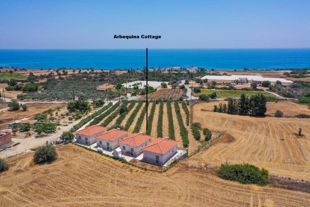 Photo of Others in Agios Theodoros