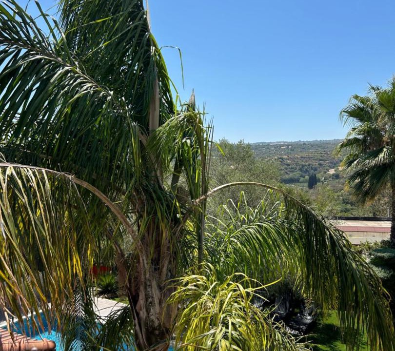 Photo of Others in Miliou