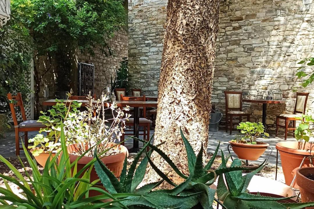 Photo of Others in Pano Lefkara