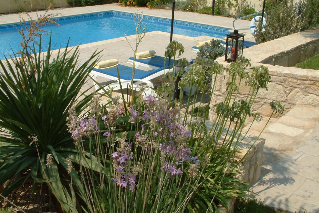 Photo of Outdoor in Pissouri