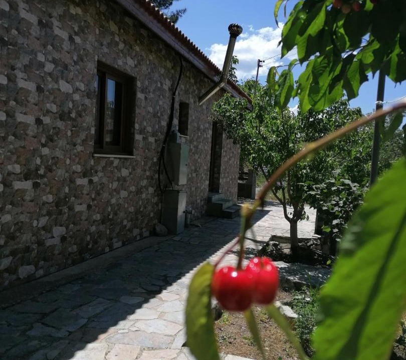 Photo of Others in Vasa Koilaniou