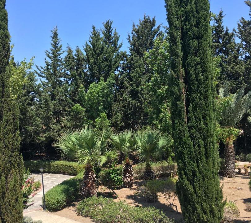 Photo of Outdoor in Paphos
