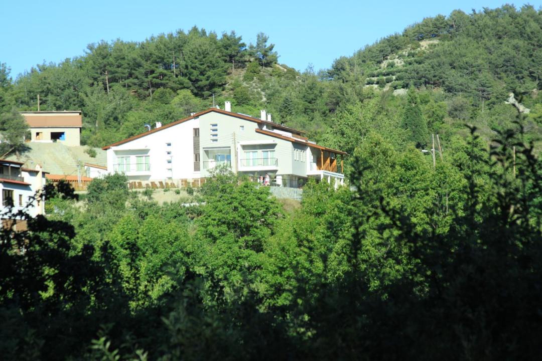 Photo of Others in Kyperounta