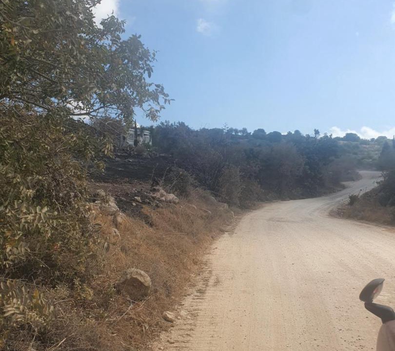 Photo of Outdoor in Koili