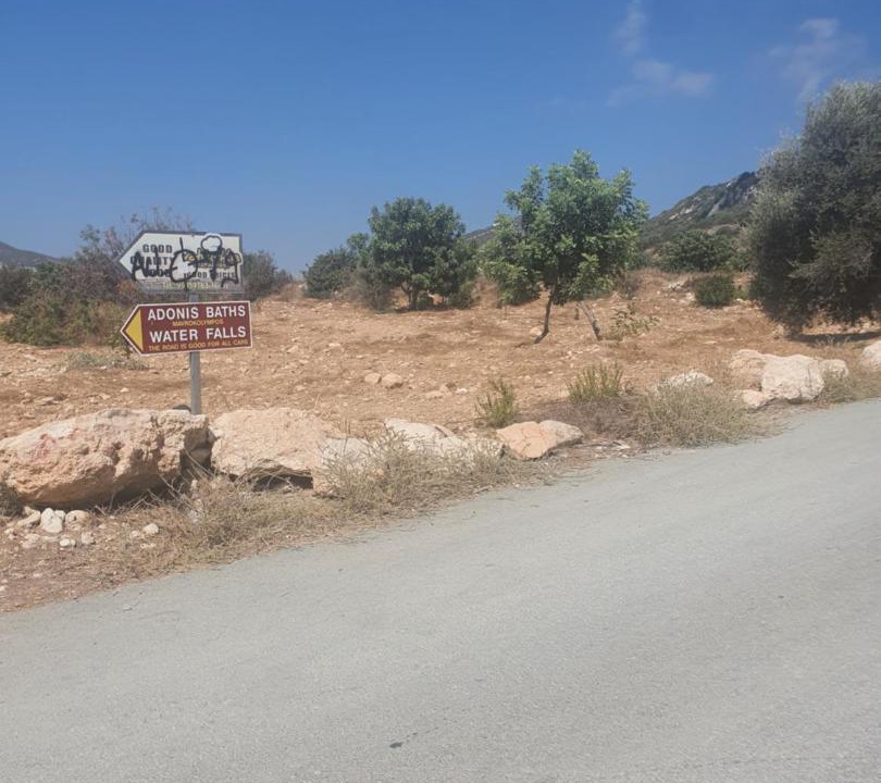 Photo of Outdoor in Koili