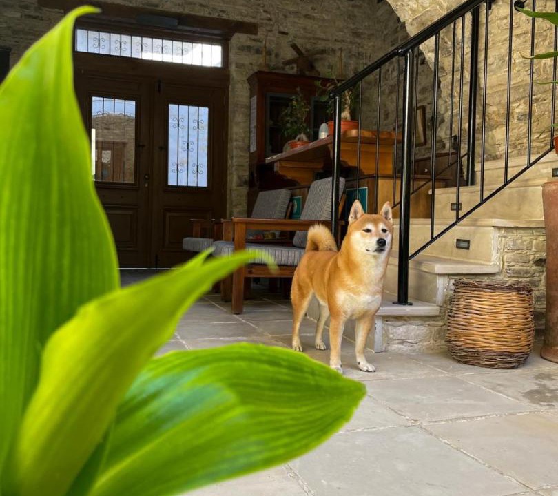 Photo of Others in Pano Lefkara