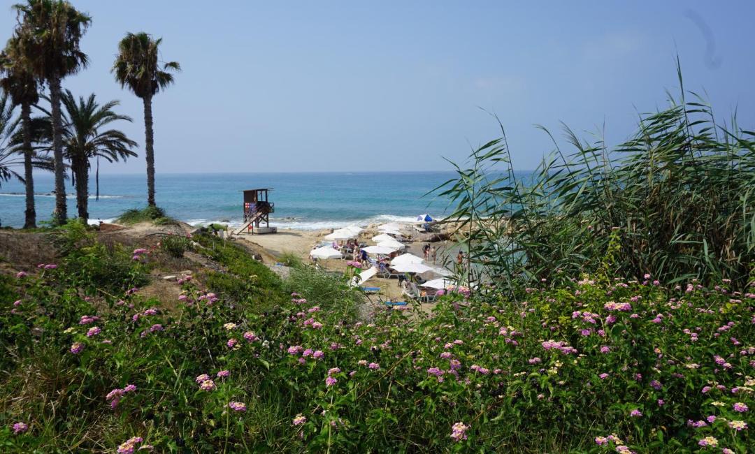 Photo of Others in Paphos