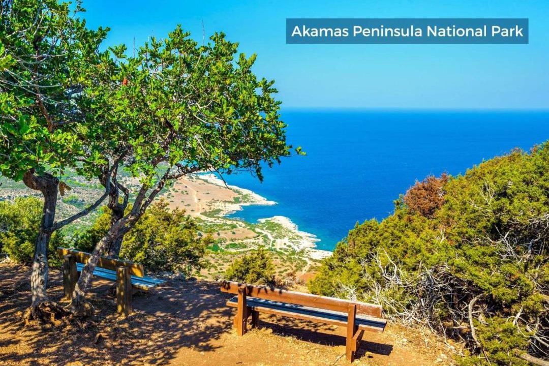Photo of Outdoor in Pegeia