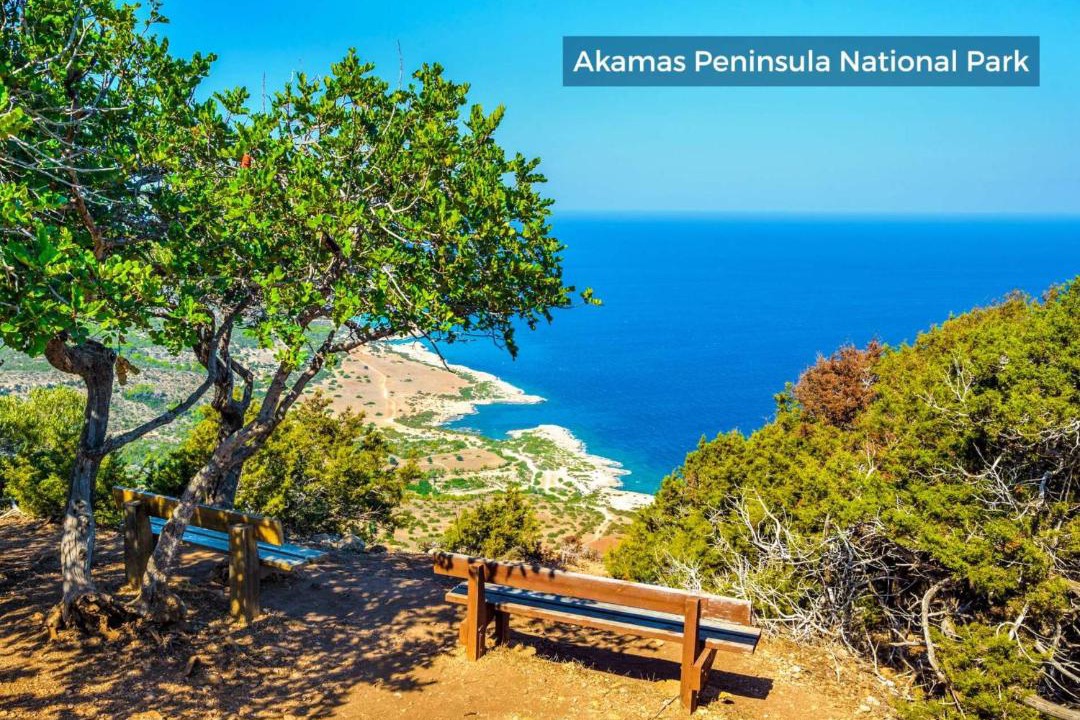 Photo of Outdoor in Paphos