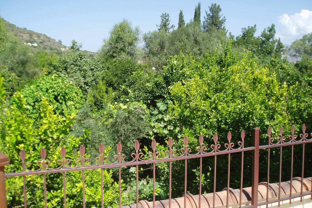 Photo of Others in Miliou
