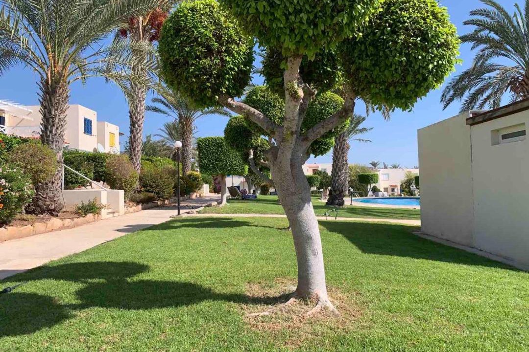 Photo of Others in Pegeia