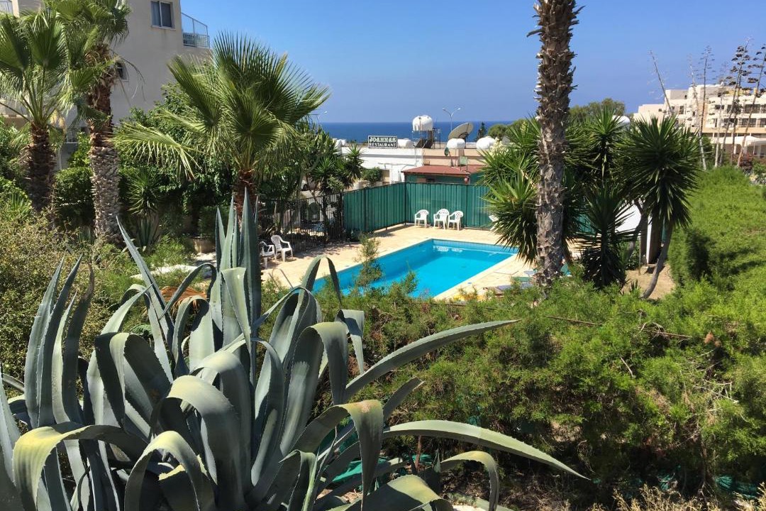Photo of Others in Paphos