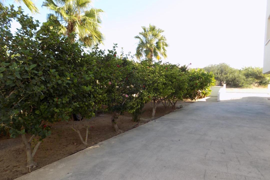 Photo of Others in Paphos