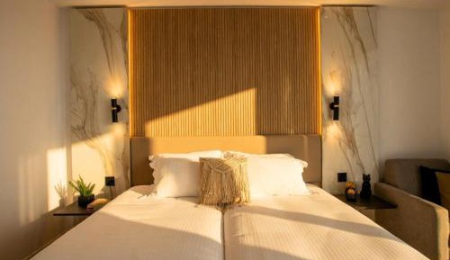 Superior Double or Twin Room with Pool View