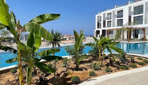 Two-Bedroom Apartment with View