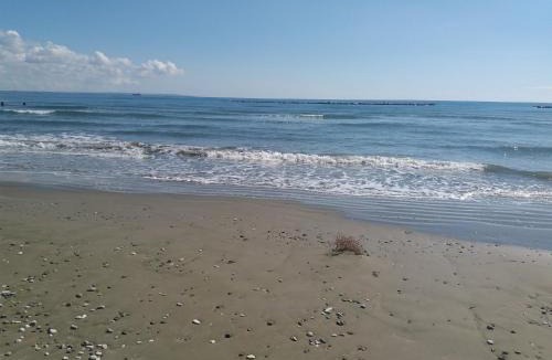 Livadia Apartment | Entire Garden Studio 1km from the sea