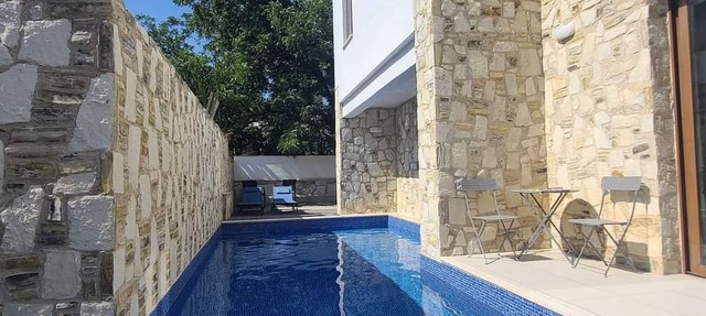 Olive Garden's Paradise Villa with private swim up pool and picturesque village. in SKARINOU
