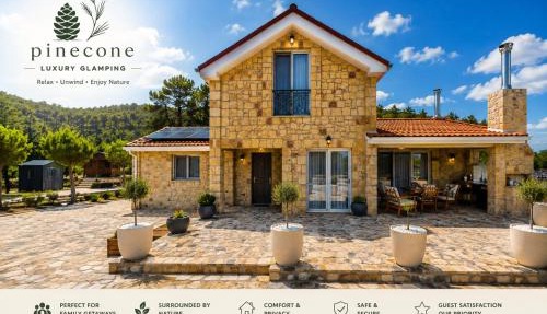 pinecone Luxury villa in Louvaras