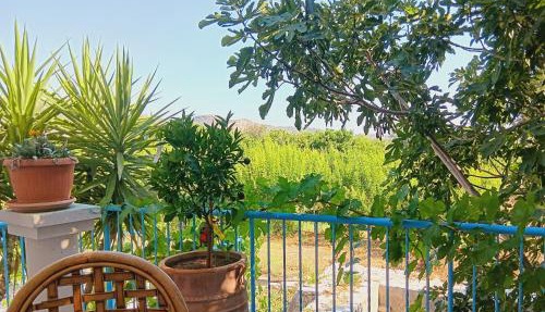 The Orangerie Mountain Village House in Limnatis
